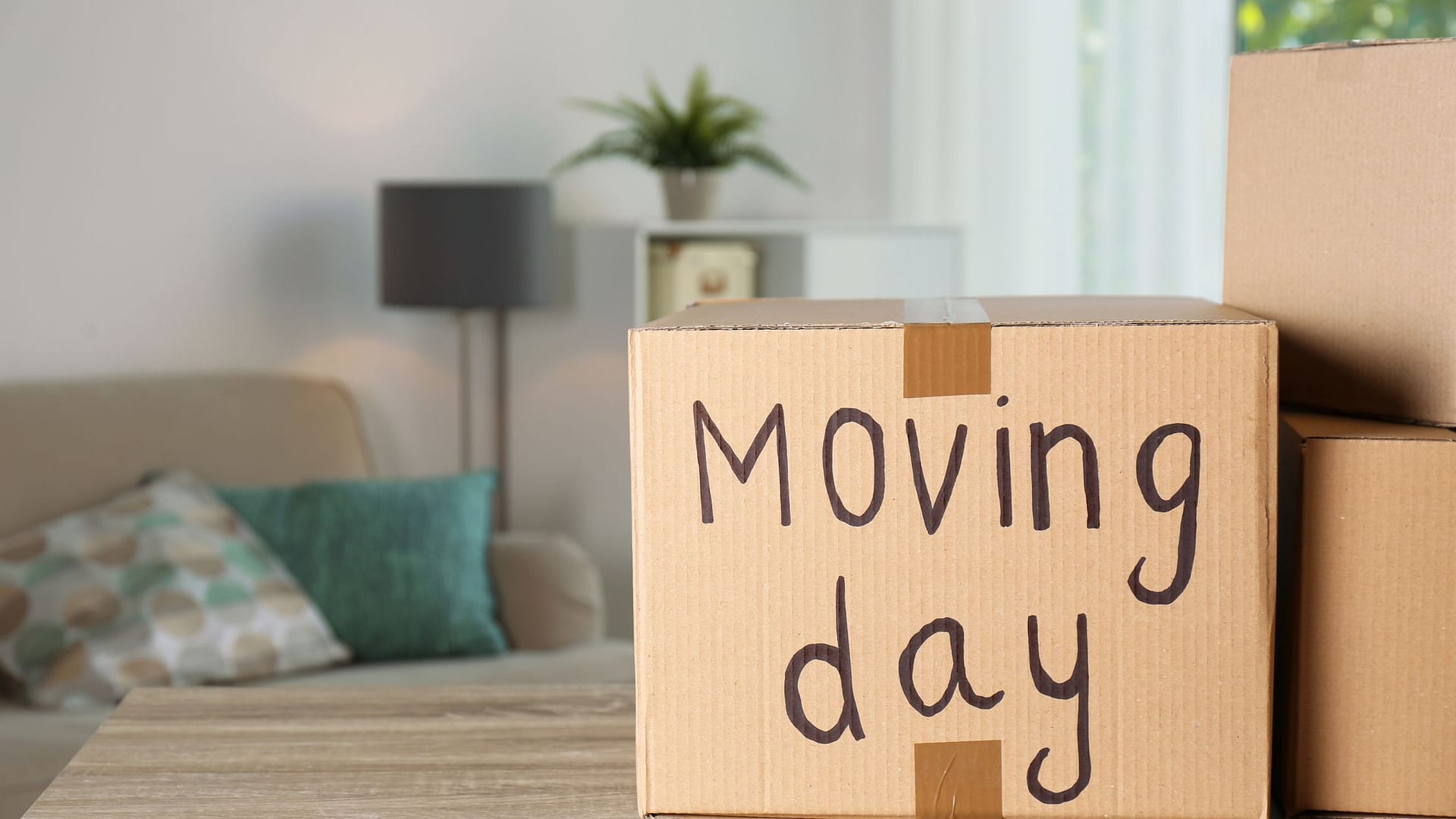 Cardboard box labeled "Moving day" on a table in a bright living room, illustrating moving and packing tips