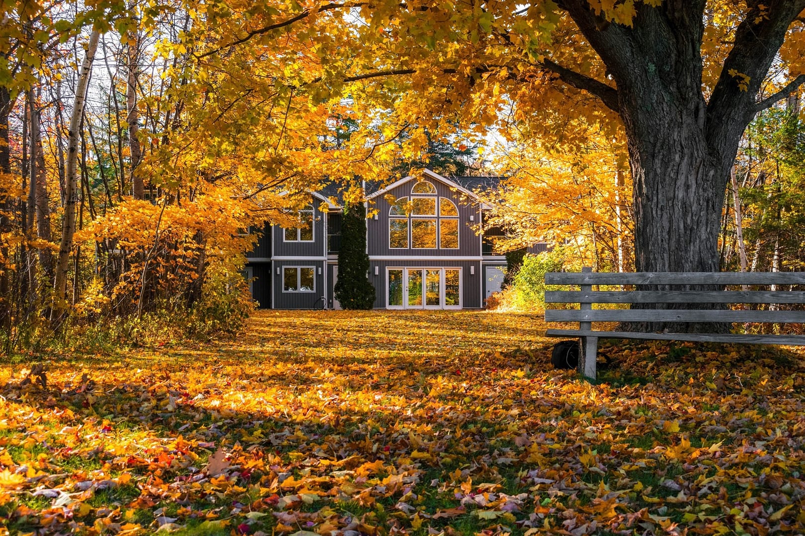 HOME IN FALL