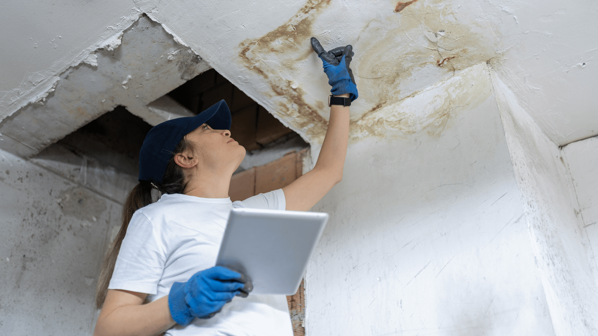 Preparing Your Home for Sale: Start with a Survey & Assessment of Needed Repairs and Maintenance