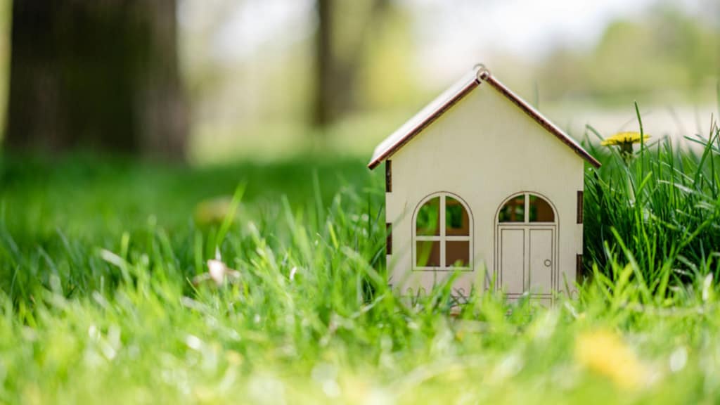 small house model in grass representing buyer psychology and dream home