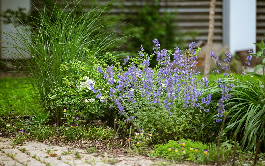 10 Landscaping Mistakes That Make Your Home Look Cheap (And How to Fix Them)