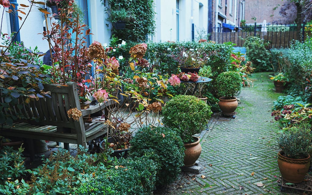 10 Landscaping Mistakes That Make Your Home Look Cheap (And How to Fix Them)
