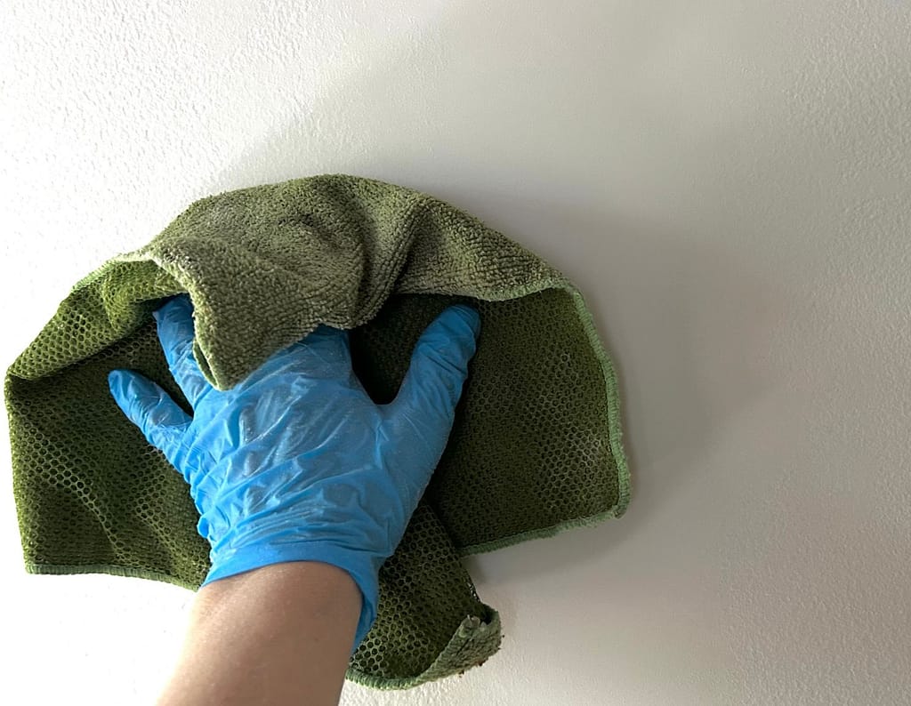 WIPE WALLS AFTER SANDING TO REMOVE DUST AND DIRT PRIOR TO PAINTING